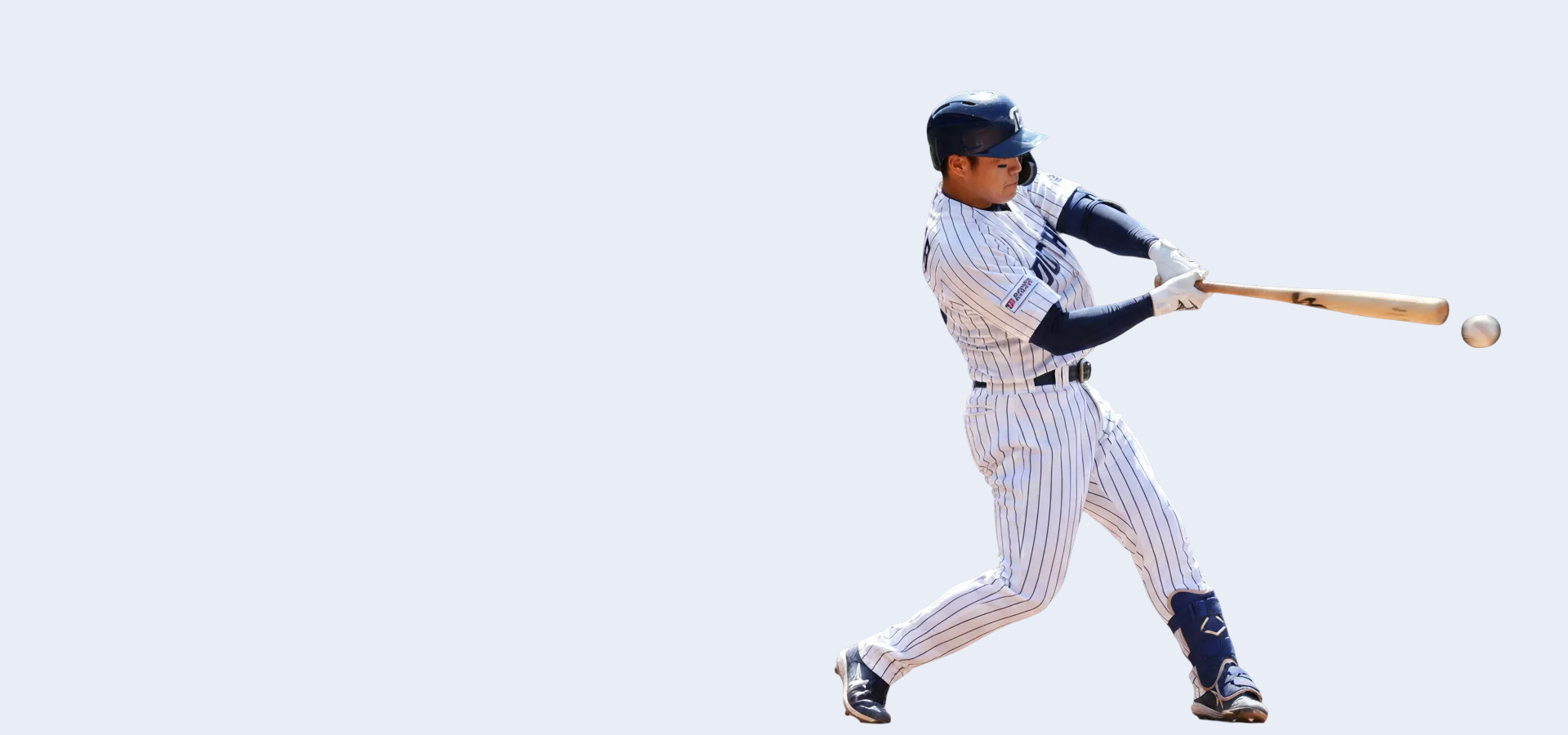 엘리트 선수 트레이닝