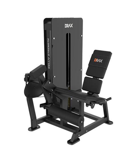 시티드 레그 익스텐션