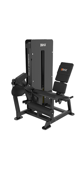 시티드 레그 익스텐션