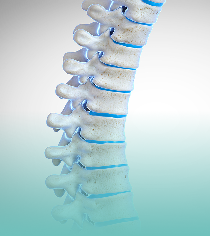 척추 교정 트레이닝